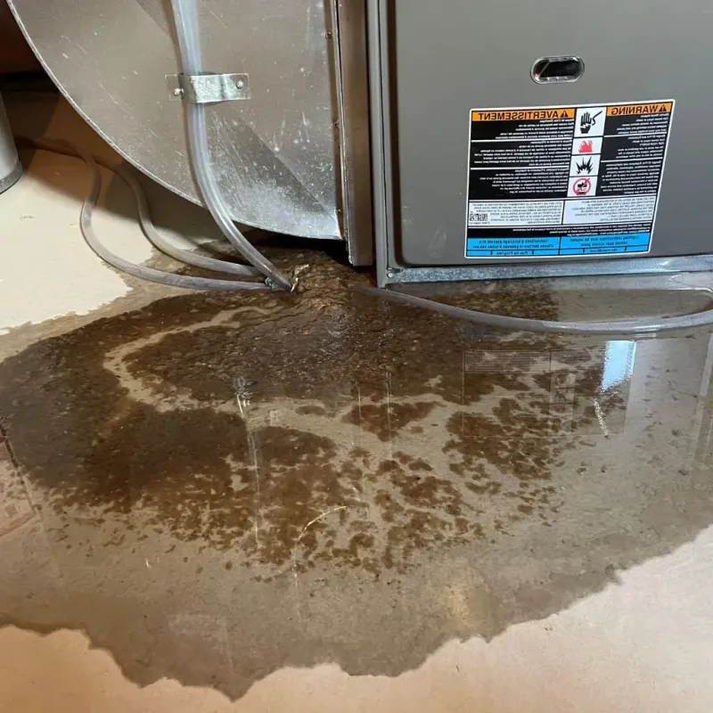 Pipe Burst and Leak Restoration in Mosquero, NM