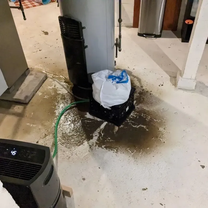 Sewage Backup Cleanup Service in Mosquero, NM
